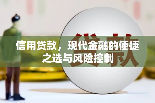 林州信用贷款，现代金融的便捷之选与风险控制