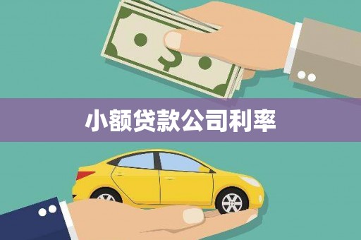 林州小额贷款公司利率