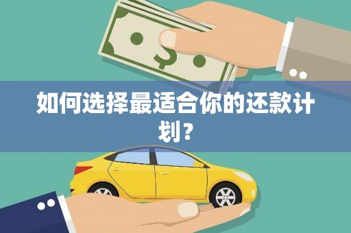 林州如何选择最适合你的还款计划？