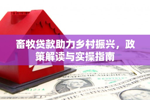 林州畜牧贷款助力乡村振兴，政策解读与实操指南