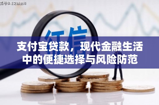 林州支付宝贷款，现代金融生活中的便捷选择与风险防范