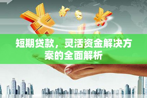 林州短期贷款，灵活资金解决方案的全面解析