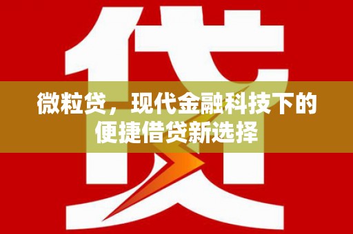 林州微粒贷，现代金融科技下的便捷借贷新选择