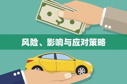 林州风险、影响与应对策略