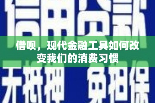 林州借呗，现代金融工具如何改变我们的消费习惯