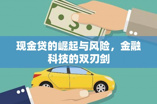 林州现金贷的崛起与风险，金融科技的双刃剑