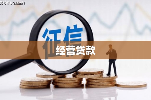 林州经营贷款