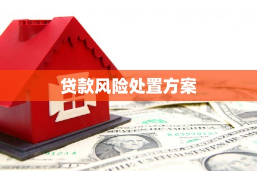 林州贷款风险处置方案
