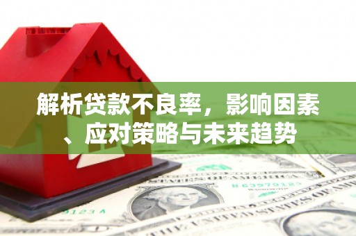 林州解析贷款不良率，影响因素、应对策略与未来趋势