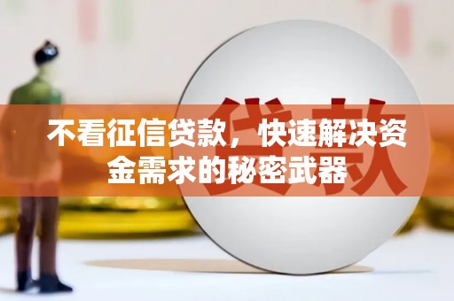 林州不看征信贷款，快速解决资金需求的秘密武器