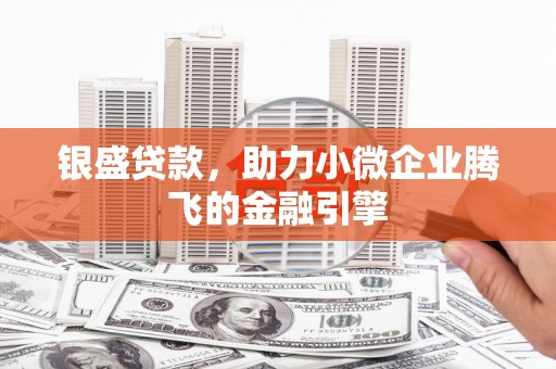 林州银盛贷款，助力小微企业腾飞的金融引擎