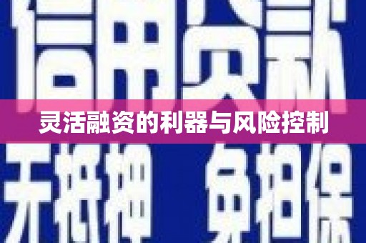 林州灵活融资的利器与风险控制