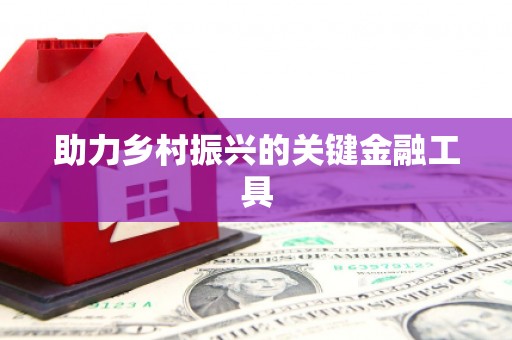林州助力乡村振兴的关键金融工具