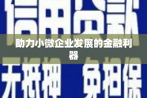 林州助力小微企业发展的金融利器