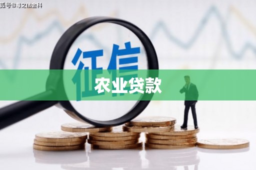 林州农业贷款
