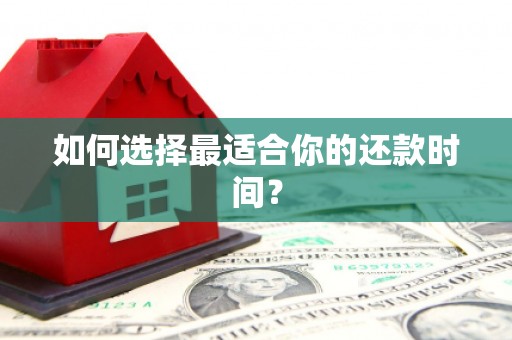 林州如何选择最适合你的还款时间？