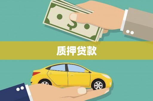 林州质押贷款