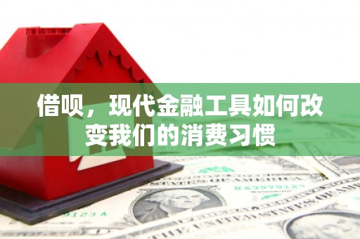 林州借呗，现代金融工具如何改变我们的消费习惯