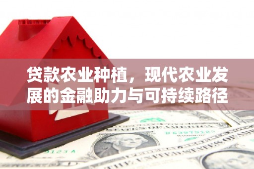 林州贷款农业种植，现代农业发展的金融助力与可持续路径