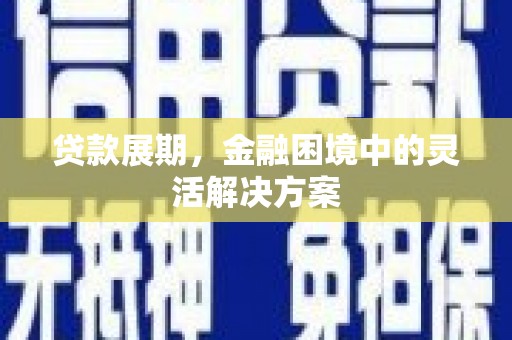 林州贷款展期，金融困境中的灵活解决方案