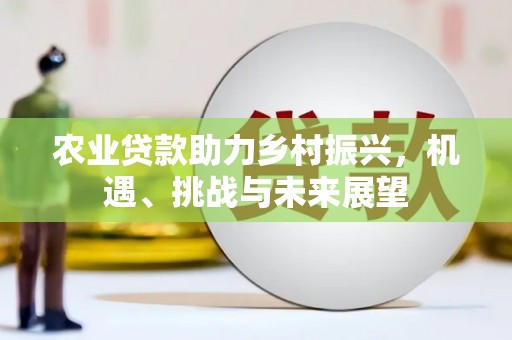 林州农业贷款助力乡村振兴，机遇、挑战与未来展望