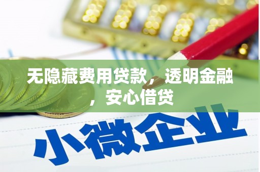 林州无隐藏费用贷款，透明金融，安心借贷