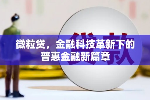 林州微粒贷，金融科技革新下的普惠金融新篇章