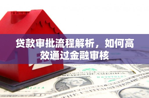 林州贷款审批流程解析，如何高效通过金融审核