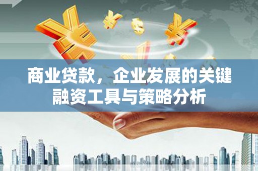 林州商业贷款，企业发展的关键融资工具与策略分析