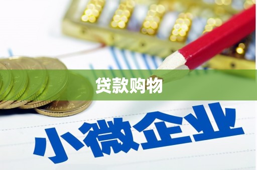 林州贷款购物