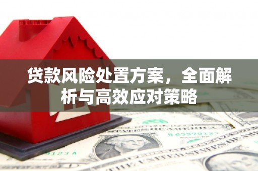 林州贷款风险处置方案，全面解析与高效应对策略