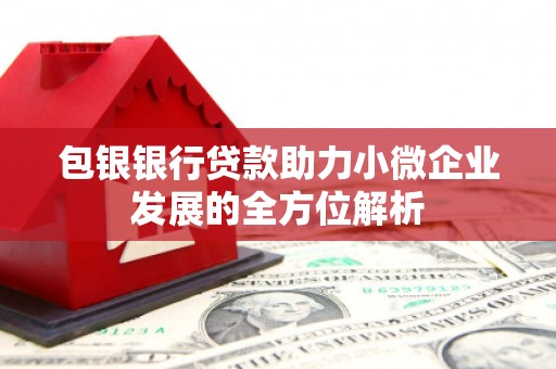 林州包银银行贷款助力小微企业发展的全方位解析