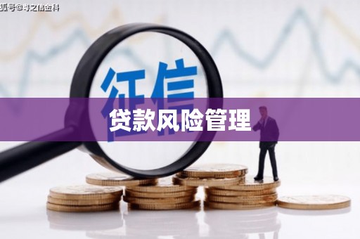 林州贷款风险管理