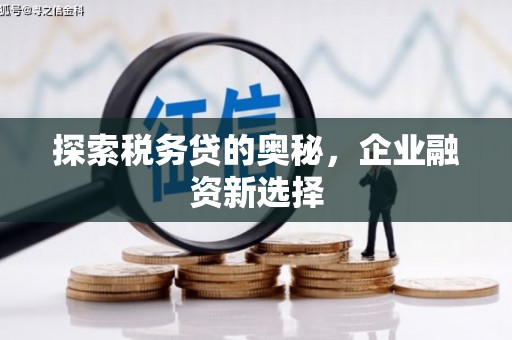 林州探索税务贷的奥秘，企业融资新选择