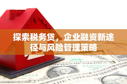 林州探索税务贷，企业融资新途径与风险管理策略
