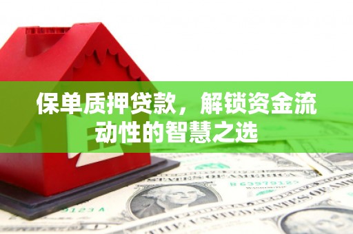 林州保单质押贷款，解锁资金流动性的智慧之选