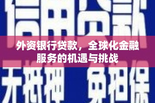 林州外资银行贷款，全球化金融服务的机遇与挑战
