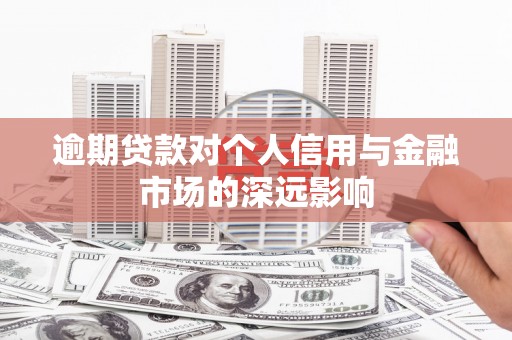 林州逾期贷款对个人信用与金融市场的深远影响