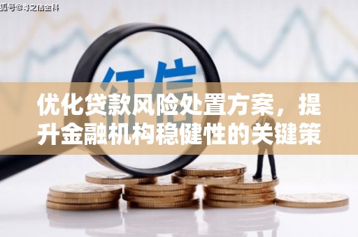 林州优化贷款风险处置方案，提升金融机构稳健性的关键策略