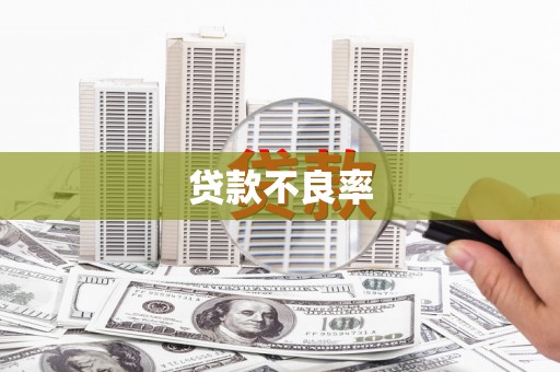林州贷款不良率