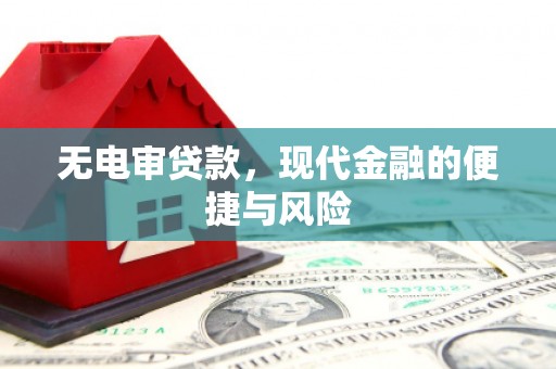 林州无电审贷款，现代金融的便捷与风险