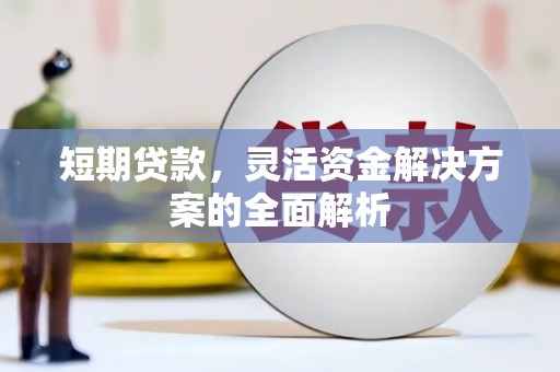 林州短期贷款，灵活资金解决方案的全面解析