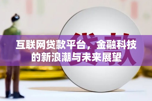 林州互联网贷款平台，金融科技的新浪潮与未来展望