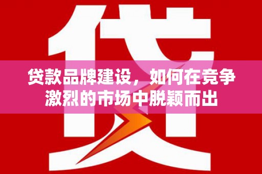 林州贷款品牌建设，如何在竞争激烈的市场中脱颖而出