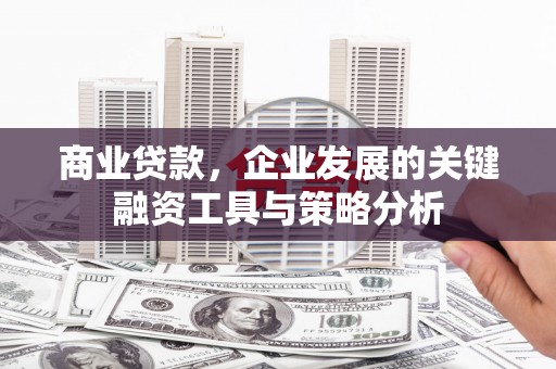 林州商业贷款，企业发展的关键融资工具与策略分析