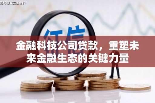 林州金融科技公司贷款，重塑未来金融生态的关键力量