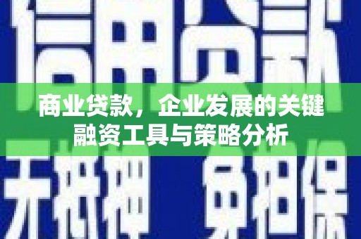 林州商业贷款，企业发展的关键融资工具与策略分析
