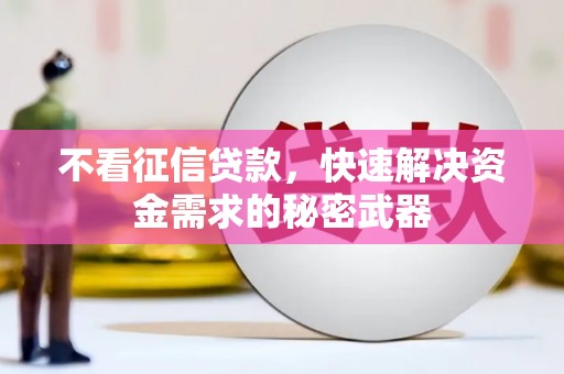 林州不看征信贷款，快速解决资金需求的秘密武器