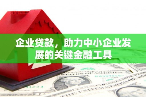 林州企业贷款，助力中小企业发展的关键金融工具