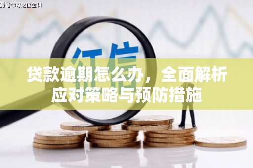 林州贷款逾期怎么办，全面解析应对策略与预防措施